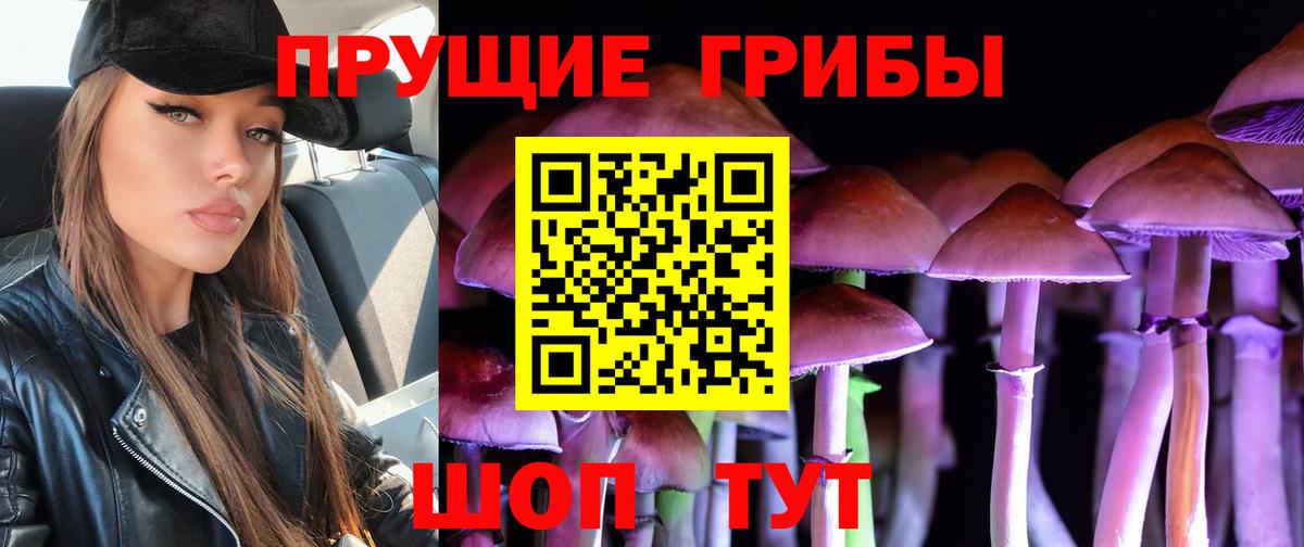 Галлюциногенные грибы прущие грибы  Псилоцибиновые грибы Magic Shrooms  Выборг  Вход с VPN 