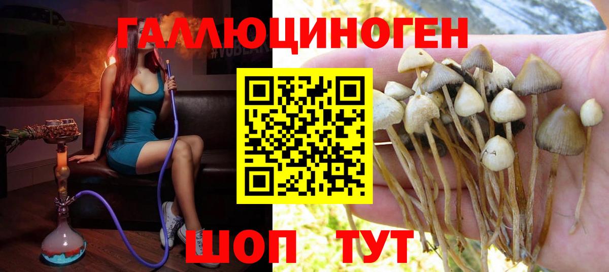 Псилоцибиновые грибы Magic Shrooms Выборг