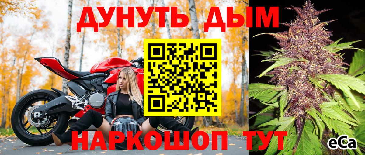 Шишки марихуана конопля Выборг